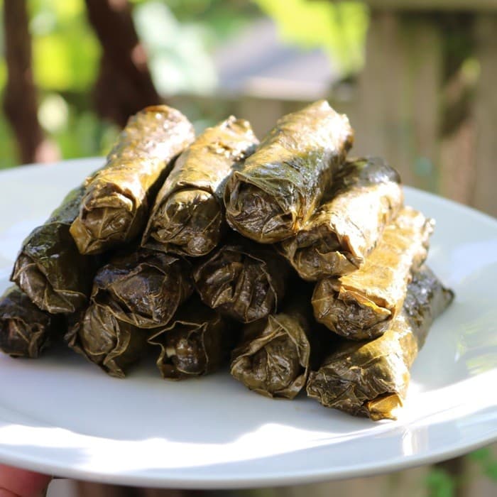 Stuffed Grape Leaves